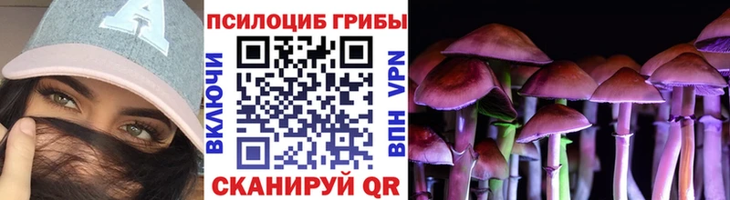 Псилоцибиновые грибы мухоморы Энем